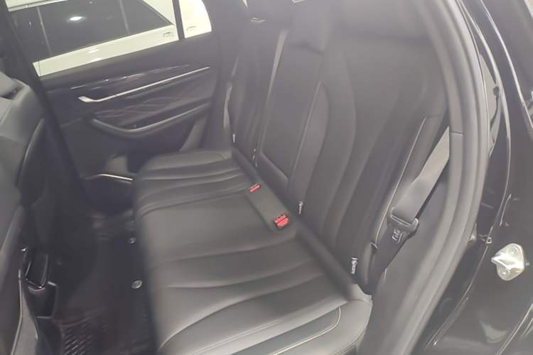 Used Geely Auto Monjaro L 2024 2.0TD DCT EVO Two-Wheel Drive Long-Range Version Left Rear Seat