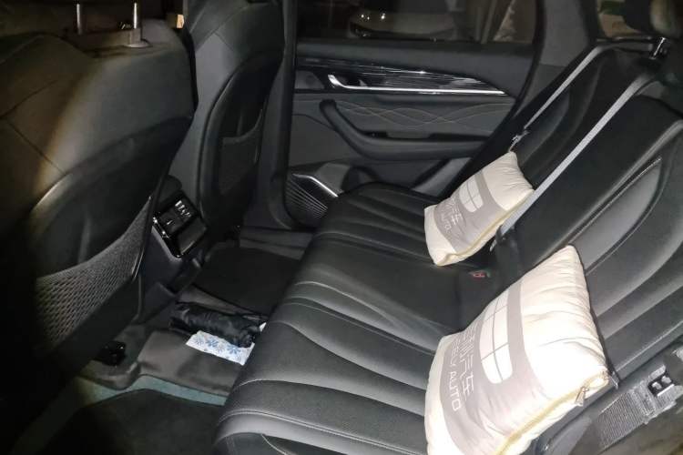 Used Geely Auto Monjaro L 2024 2.0TD DCT EVO Two-Wheel Drive Long-Range Version Left Rear Seat
