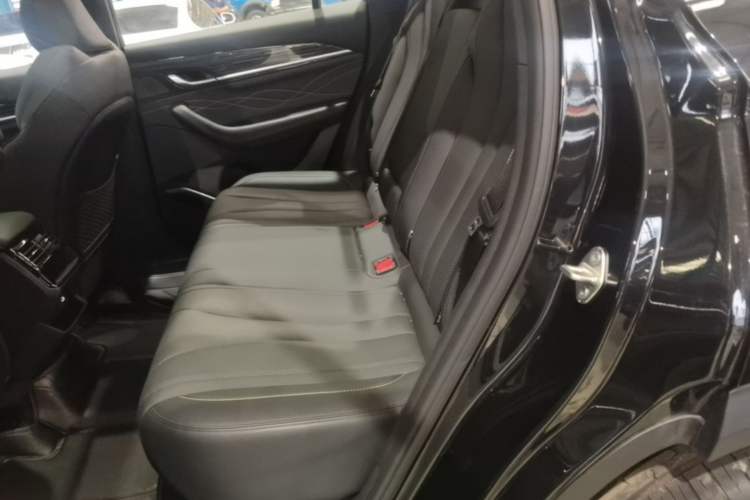 Used Geely Auto Monjaro L 2024 2.0TD DCT EVO Two-Wheel Drive Long-Range Version Left Rear Seat