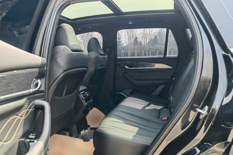 Used Geely Auto Monjaro L 2024 2.0TD DCT EVO Two-Wheel Drive Long-Range Version Left Rear Seat