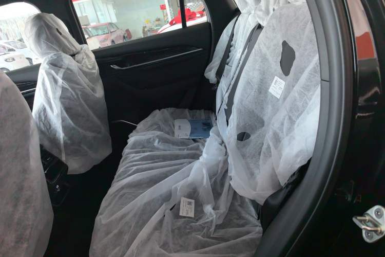 Used Geely Auto Monjaro L 2024 2.0TD DCT EVO Two-Wheel Drive Long-Range Version Left Rear Seat