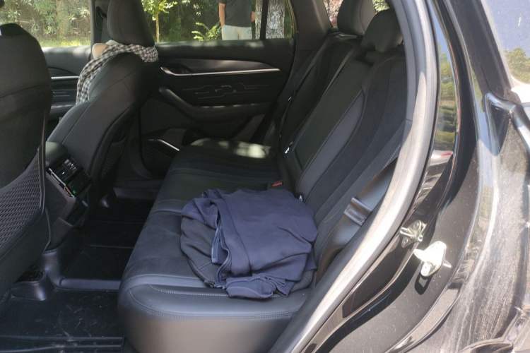 Used Geely Auto Monjaro L 2024 2.0TD High-Power Automatic Two-Wheel Drive Skyline Edition Left Rear Seat
