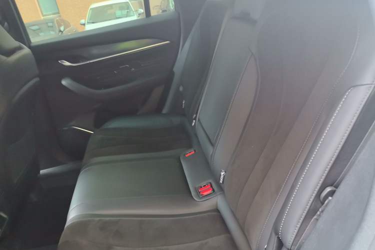Used Geely Auto Monjaro L 2024 2.0TD High-Power Automatic Two-Wheel Drive Skyline Edition Left Rear Seat