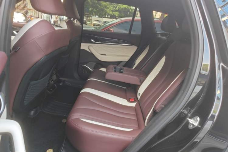 Used Geely Auto Monjaro L 2024 2.0TD High-Power Automatic Two-Wheel Drive Skyline Edition Left Rear Seat