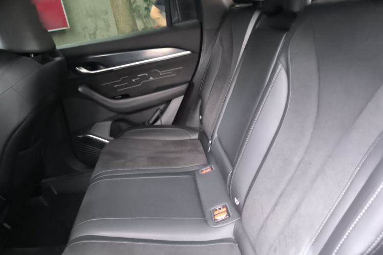 Used Geely Auto Monjaro L 2024 2.0TD High-Power Automatic Two-Wheel Drive Skyline Edition Left Rear Seat
