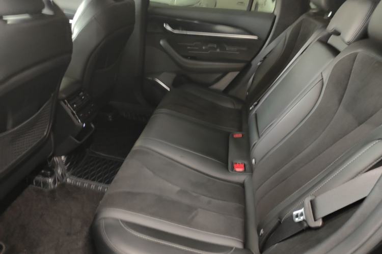 Used Geely Auto Monjaro L 2024 2.0TD High-Power Automatic Two-Wheel Drive Skyline Edition Left Rear Seat
