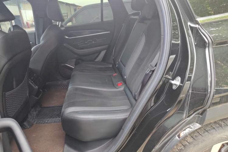 Used Geely Auto Monjaro L 2024 2.0TD High-Power Automatic Two-Wheel Drive Skyline Edition Left Rear Seat