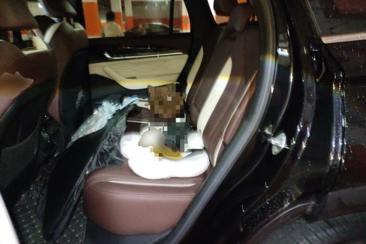 Used Geely Auto Monjaro L 2024 2.0TD High-Power Automatic Two-Wheel Drive Yunqi Version Left Rear Seat
