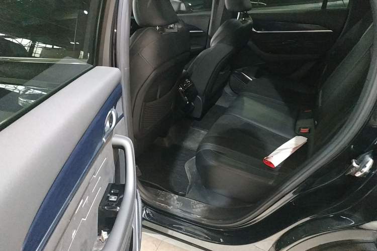 Used Geely Auto Monjaro L 2024 2.0TD High-Power Automatic Two-Wheel Drive Skyline Edition Left Rear Seat