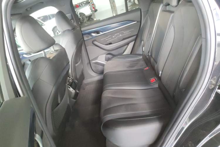 Used Geely Auto Monjaro L 2024 2.0TD High-Power Automatic Two-Wheel Drive Skyline Edition Left Rear Seat