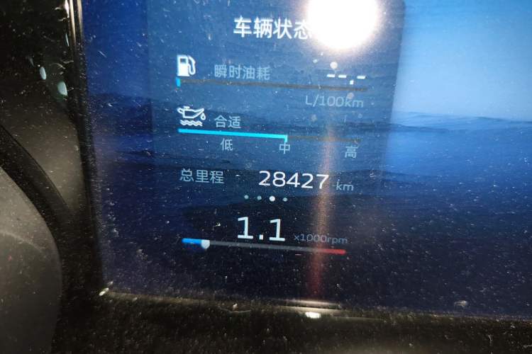 Used Geely Auto Monjaro L 2024 2.0TD DCT EVO Two-Wheel Drive Long-Range Version Odometer Close Up
