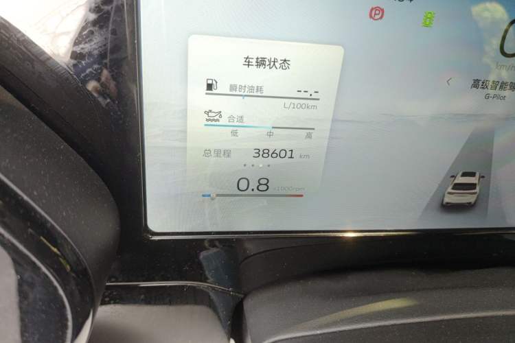 Used Geely Auto Monjaro L 2024 2.0TD DCT EVO Two-Wheel Drive Prestige Version Odometer Close Up