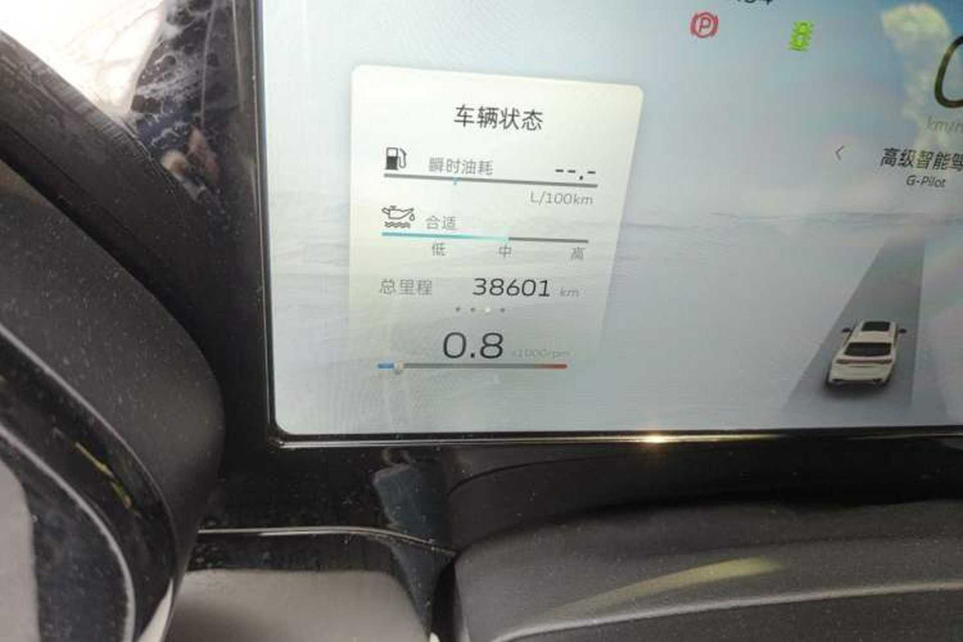 Used Geely Auto Monjaro L 2024 2.0TD DCT EVO Two-Wheel Drive Prestige Version Odometer Close Up