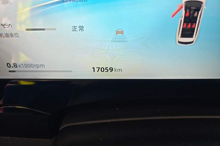 Used Geely Auto Monjaro L 2024 2.0TD High-Power Automatic Two-Wheel Drive Skyline Edition Odometer Close Up