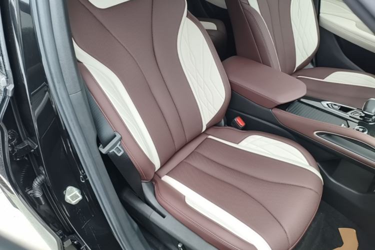 Used Geely Auto Monjaro L 2024 2.0TD High-Power Automatic Two-Wheel Drive Yunqi Version Right Front Seat