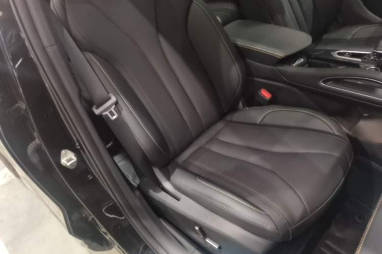 Used Geely Auto Monjaro L 2024 2.0TD DCT EVO Two-Wheel Drive Long-Range Version Right Front Seat