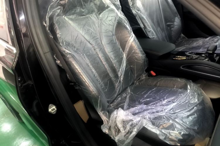 Used Geely Auto Monjaro L 2024 2.0TD DCT EVO Two-Wheel Drive Long-Range Version Right Front Seat