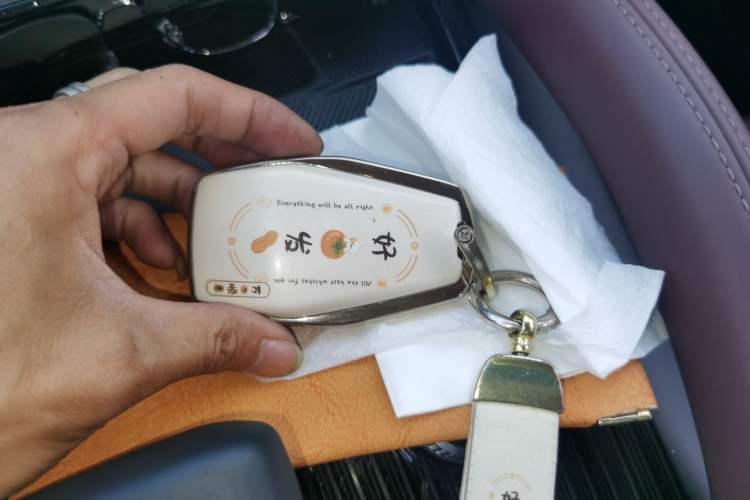 Used Geely Auto Monjaro L 2024 2.0TD High-Power Automatic Two-Wheel Drive Skyline Edition Vehicle Key