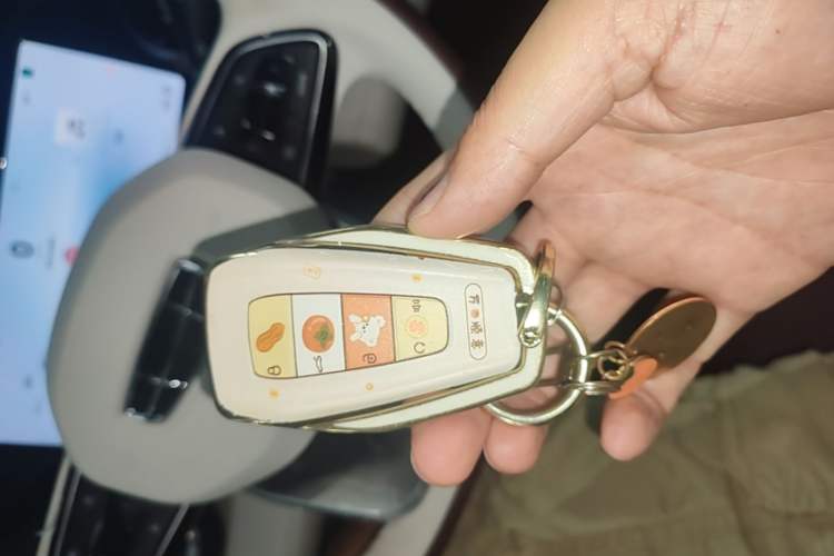 Used Geely Auto Monjaro L 2024 2.0TD High-Power Automatic Two-Wheel Drive Yunqi Version Vehicle Key