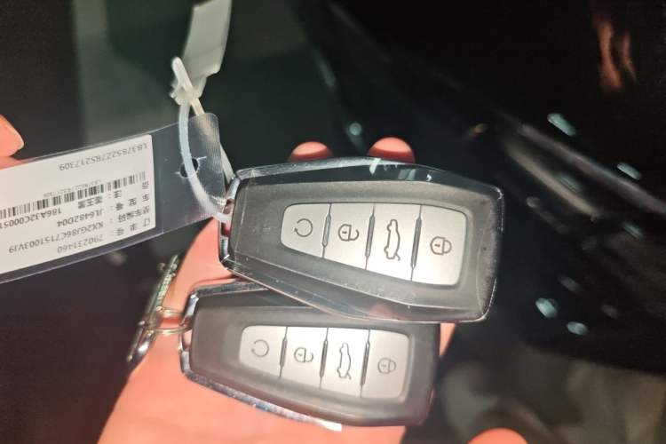 Used Geely Auto Monjaro L 2024 2.0TD DCT EVO Two-Wheel Drive Long-Range Version Vehicle Key