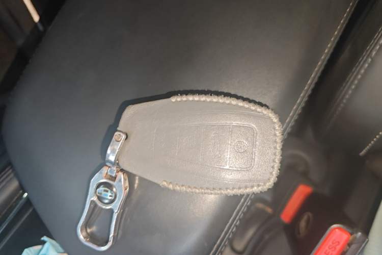 Used Geely Auto Monjaro L 2024 2.0TD High-Power Automatic Two-Wheel Drive Skyline Edition Vehicle Key