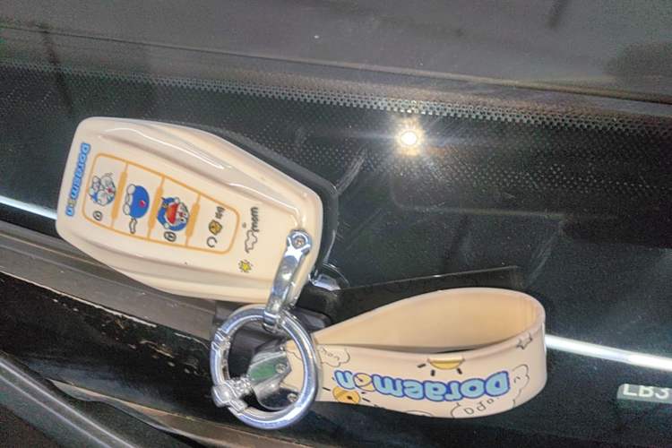 Used Geely Auto Monjaro L 2024 2.0TD High-Power Automatic Two-Wheel Drive Yunqi Version Vehicle Key