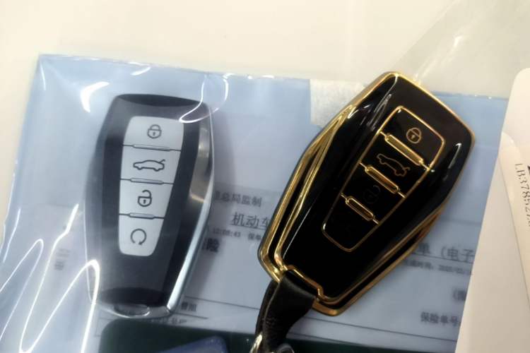 Used Geely Auto Monjaro L 2024 2.0TD DCT EVO Two-Wheel Drive Long-Range Version Vehicle Key