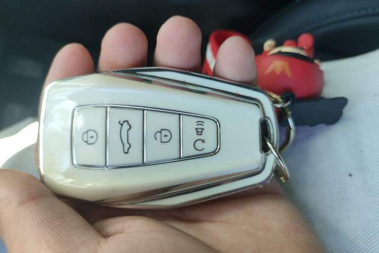 Used Geely Auto Monjaro L 2024 2.0TD High-Power Automatic Two-Wheel Drive Skyline Edition Vehicle Key