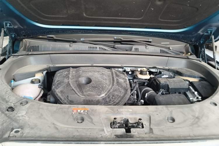 Used Geely Auto Monjaro L 2024 2.0TD High-Power Automatic Two-Wheel Drive Skyline Edition Engine Bay