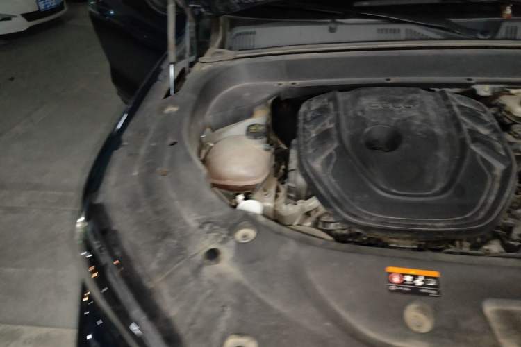 Used Geely Auto Monjaro L 2024 2.0TD High-Power Automatic Two-Wheel Drive Skyline Edition Engine Bay Right