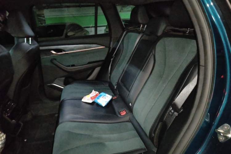 Used Geely Auto Monjaro L 2024 2.0TD High-Power Automatic Two-Wheel Drive Skyline Edition Left Rear Seat