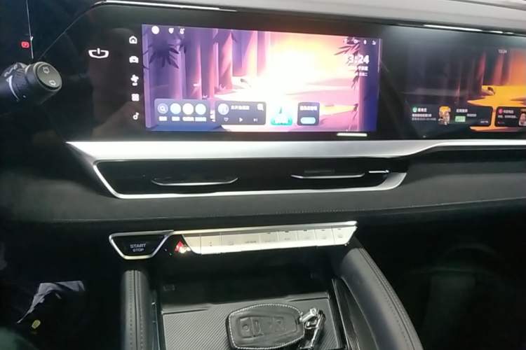 Used Geely Auto Monjaro L 2024 2.0TD High-Power Automatic Two-Wheel Drive Skyline Edition Audio And AC Panel
