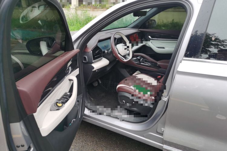 Used Geely Auto Monjaro L 2024 2.0TD High-Power Automatic Two-Wheel Drive Yunqi Version Driver Seat