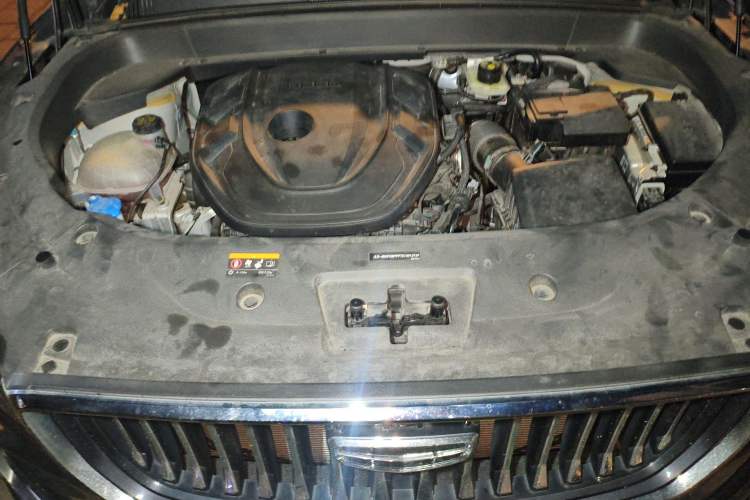 Used Geely Auto Monjaro L 2024 2.0TD High-Power Automatic Two-Wheel Drive Yunqi Version Engine Bay