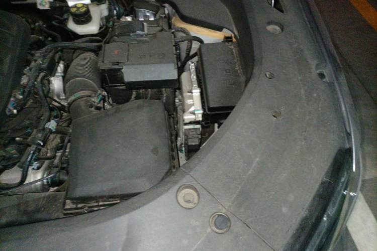 Used Geely Auto Monjaro L 2024 2.0TD High-Power Automatic Two-Wheel Drive Skyline Edition Engine Bay Left