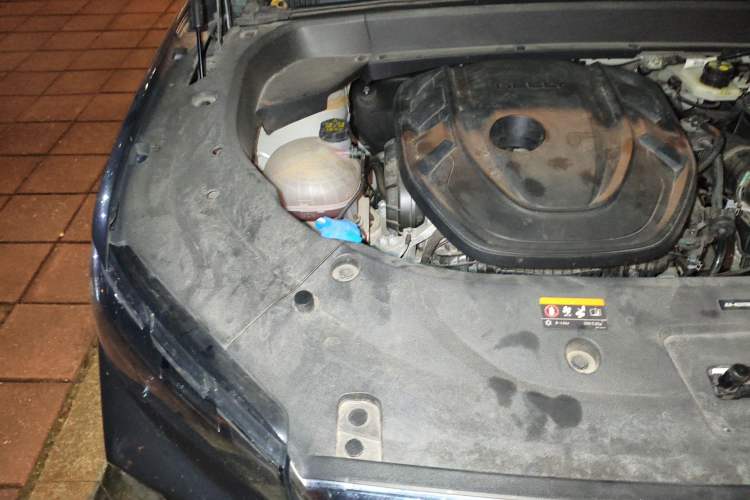 Used Geely Auto Monjaro L 2024 2.0TD High-Power Automatic Two-Wheel Drive Yunqi Version Engine Bay Right