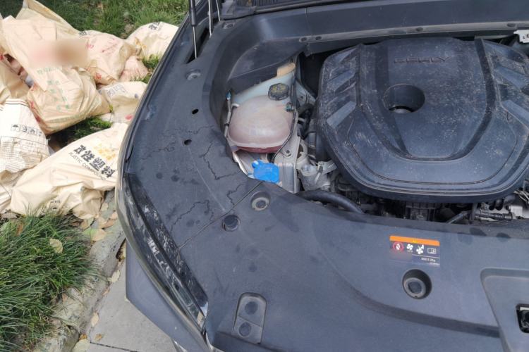 Used Geely Auto Monjaro L 2024 2.0TD DCT EVO Two-Wheel Drive Long-Range Version Engine Bay Right