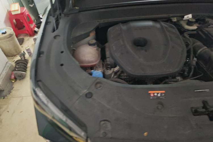 Used Geely Auto Monjaro L 2024 2.0TD High-Power Automatic Two-Wheel Drive Skyline Edition Engine Bay Right