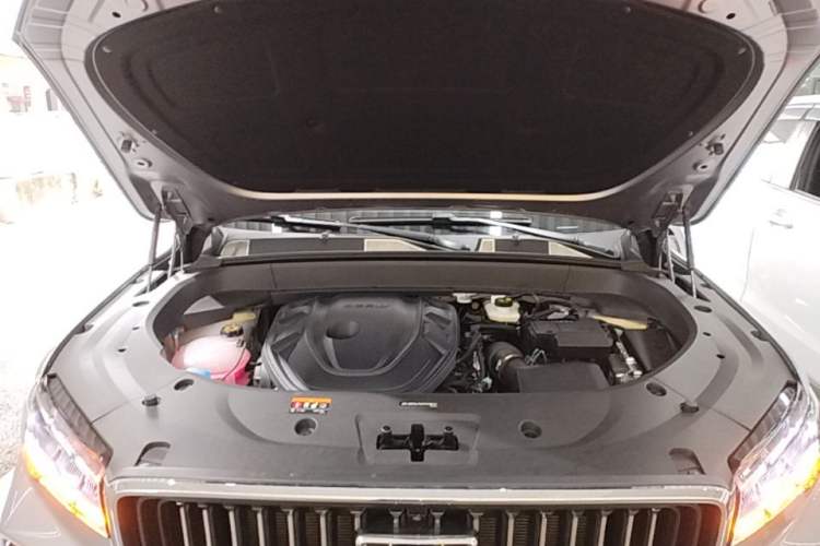 Used Geely Auto Monjaro L 2024 2.0TD DCT EVO Two-Wheel Drive Long-Range Version Engine Bay