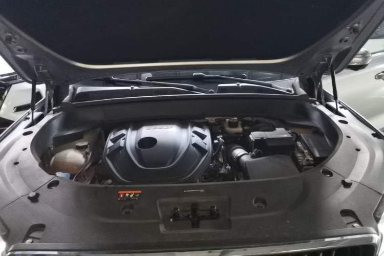 Used Geely Auto Monjaro L 2024 2.0TD High-Power Automatic Two-Wheel Drive Skyline Edition Engine Bay
