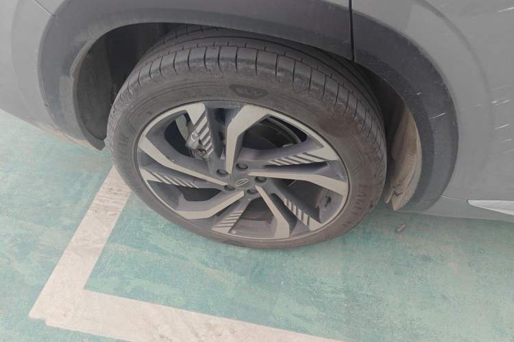 Used Geely Auto Monjaro L 2024 2.0TD High-Power Automatic Two-Wheel Drive Skyline Edition Exterior 5