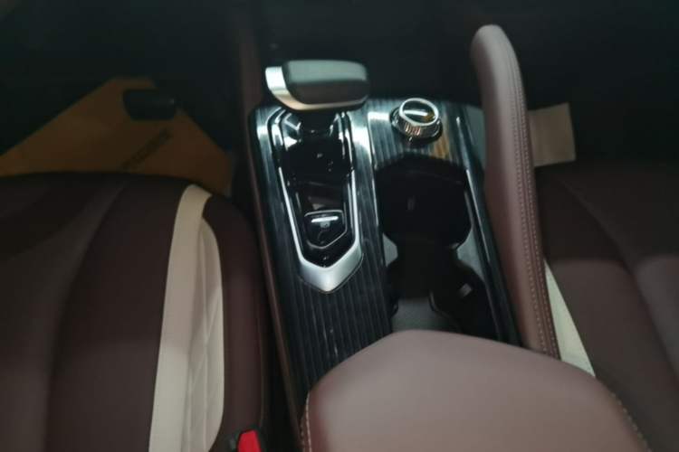 Used Geely Auto Monjaro L 2024 2.0TD High-Power Automatic Two-Wheel Drive Yunqi Version Gear Lever