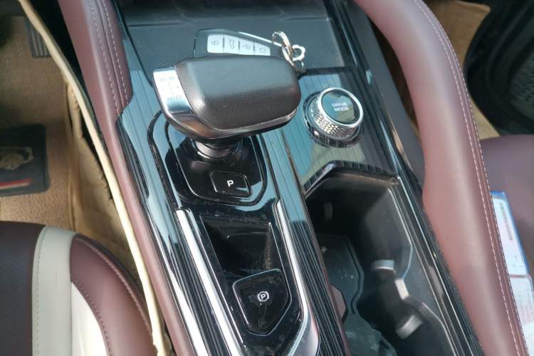 Used Geely Auto Monjaro L 2024 2.0TD High-Power Automatic Two-Wheel Drive Yunqi Version Gear Lever