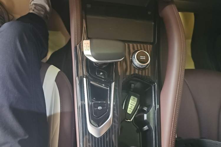 Used Geely Auto Monjaro L 2024 2.0TD High-Power Automatic Two-Wheel Drive Yunqi Version Gear Lever