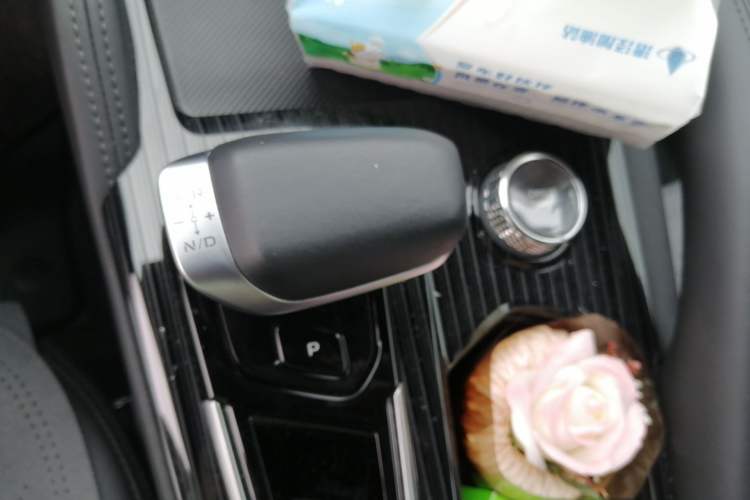 Used Geely Auto Monjaro L 2024 2.0TD High-Power Automatic Two-Wheel Drive Skyline Edition Gear Lever