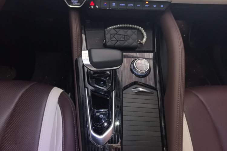 Used Geely Auto Monjaro L 2024 2.0TD High-Power Automatic Two-Wheel Drive Yunqi Version Gear Lever