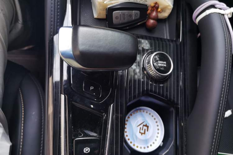 Used Geely Auto Monjaro L 2024 2.0TD DCT EVO Two-Wheel Drive Long-Range Version Gear Lever