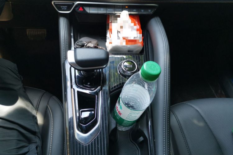 Used Geely Auto Monjaro L 2024 2.0TD DCT EVO Two-Wheel Drive Long-Range Version Gear Lever