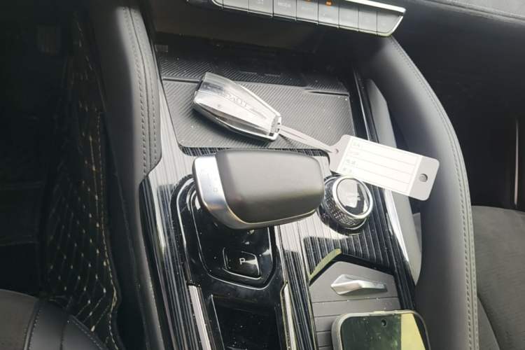 Used Geely Auto Monjaro L 2024 2.0TD High-Power Automatic Two-Wheel Drive Skyline Edition Gear Lever