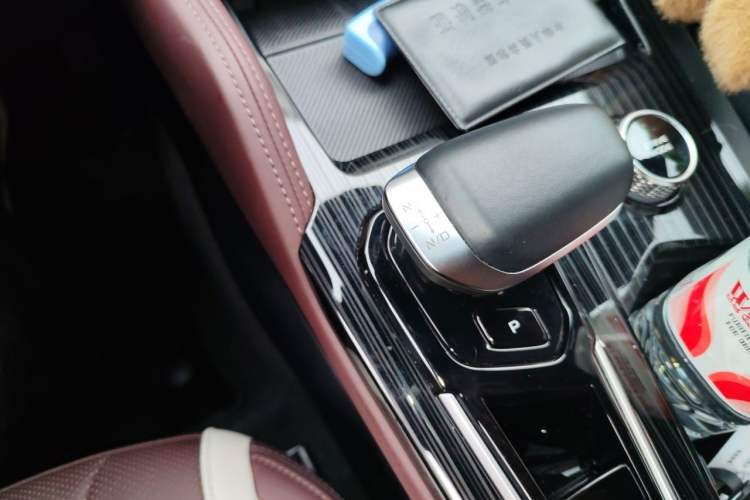 Used Geely Auto Monjaro L 2024 2.0TD High-Power Automatic Two-Wheel Drive Skyline Edition Gear Lever